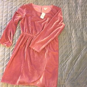 J. Crew NWT pink velour dress, size 14